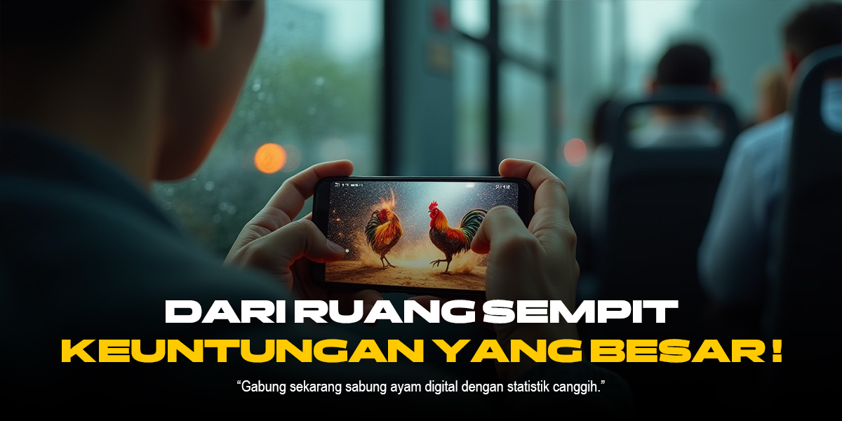 Sabung Ayam Modern: Seni, Strategi, dan Perkembangan yang Menarik