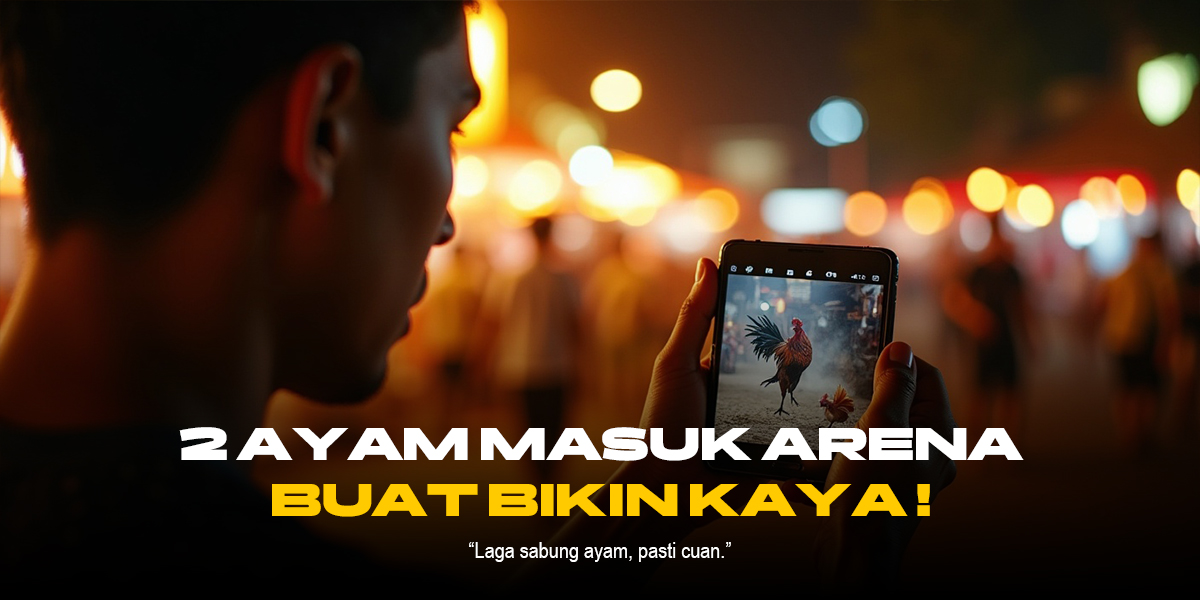 Bongkar Misteri Sabung Ayam: Jenis Ayam, Provider dan ODS yang Perlu Diketahui