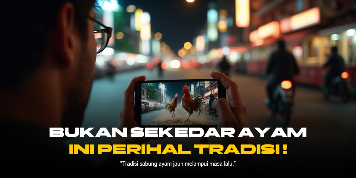 Mengenal Ayam Bangkok, Jawara Sabung Ayam dengan Odds Tinggi di SV388